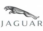 Jaguar Car Insurance